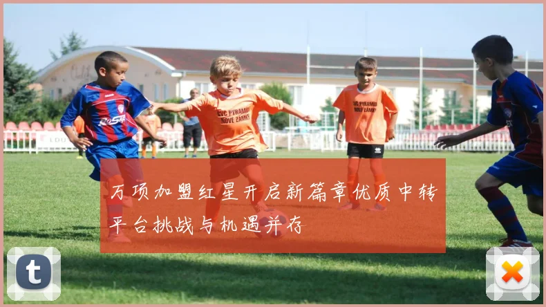 万项加盟红星开启新篇章优质中转平台挑战与机遇并存